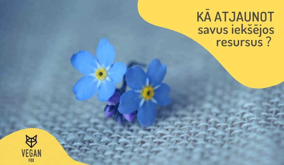 Kā atjaunot savus iekšējos resursus